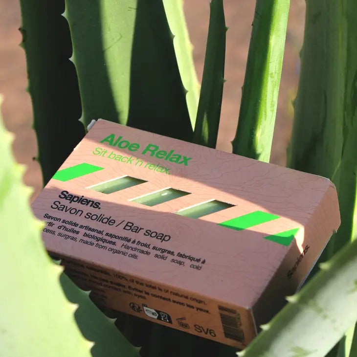 Solid soap for men 100g - Aloe Relax