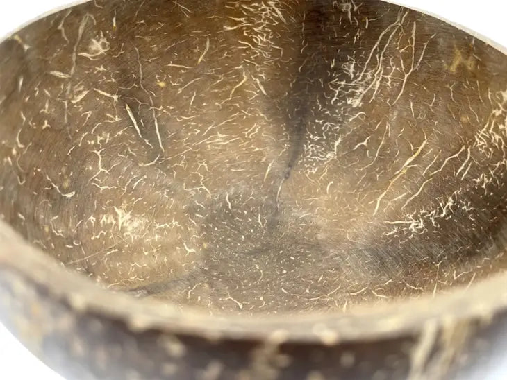 Medium Polished Nature Coco Bowl