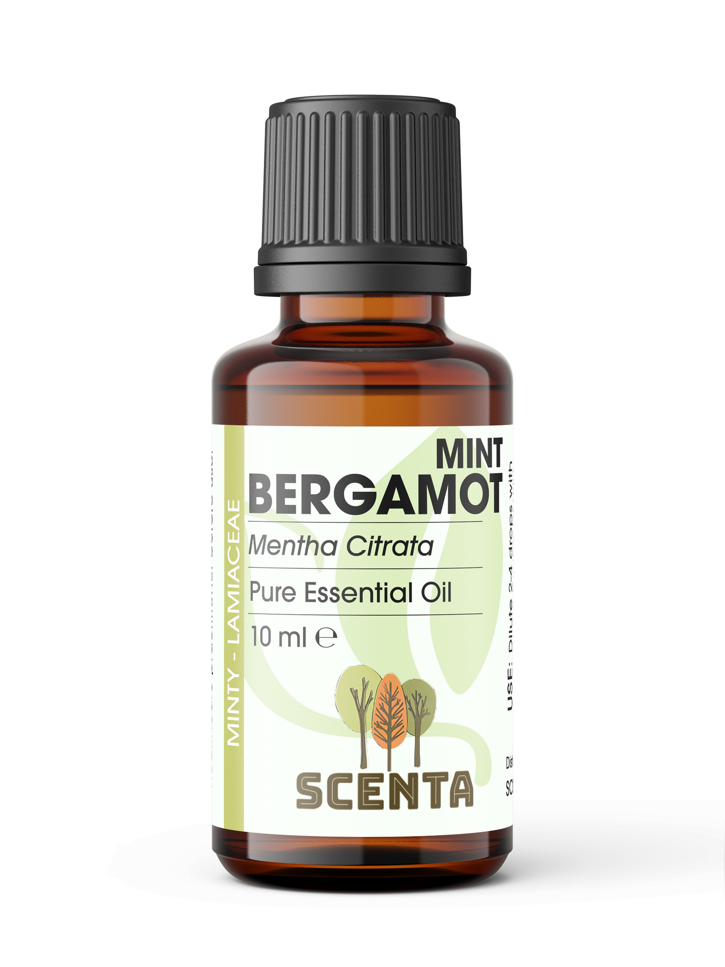 bergamot mint essential oil