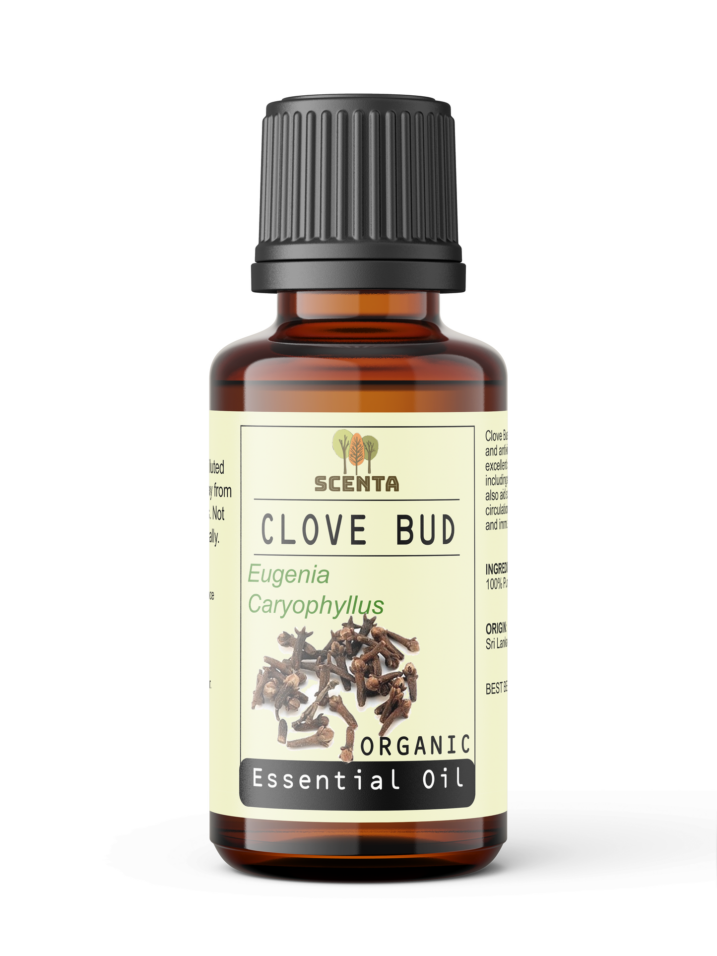 Clove Bud Organic Essential Oil