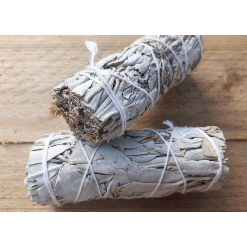 White Sage