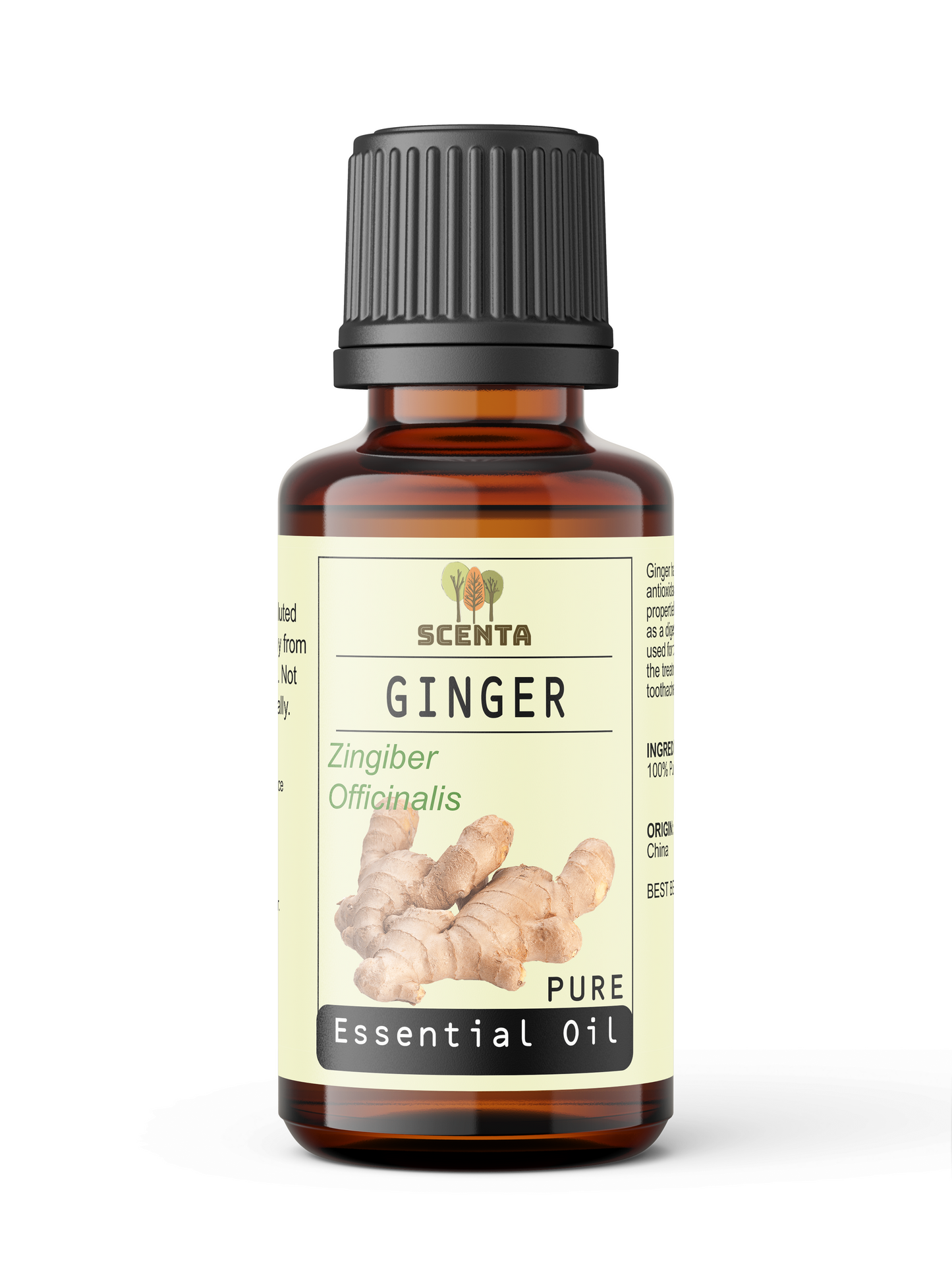ginger essential oil