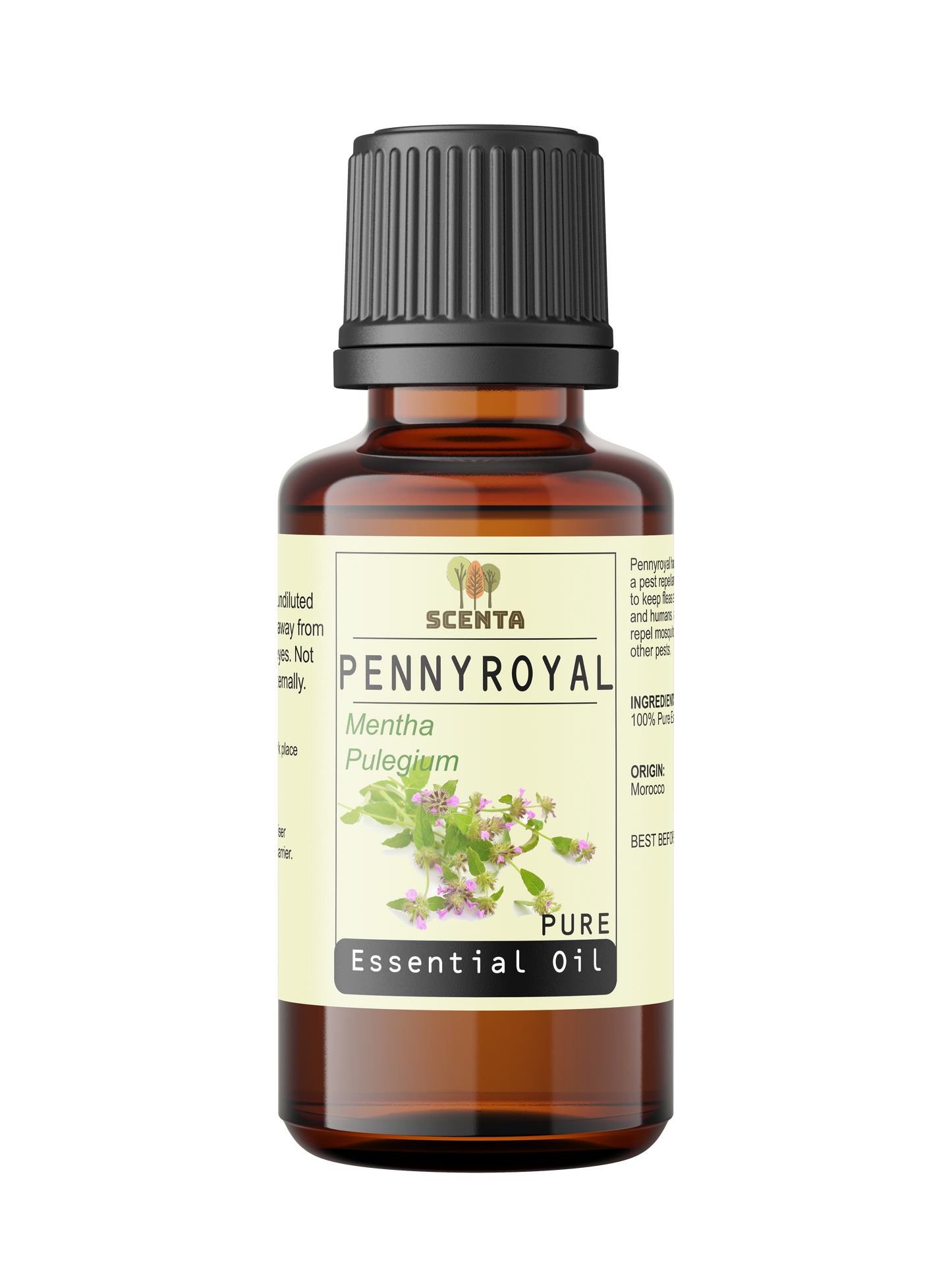 pennyroyal