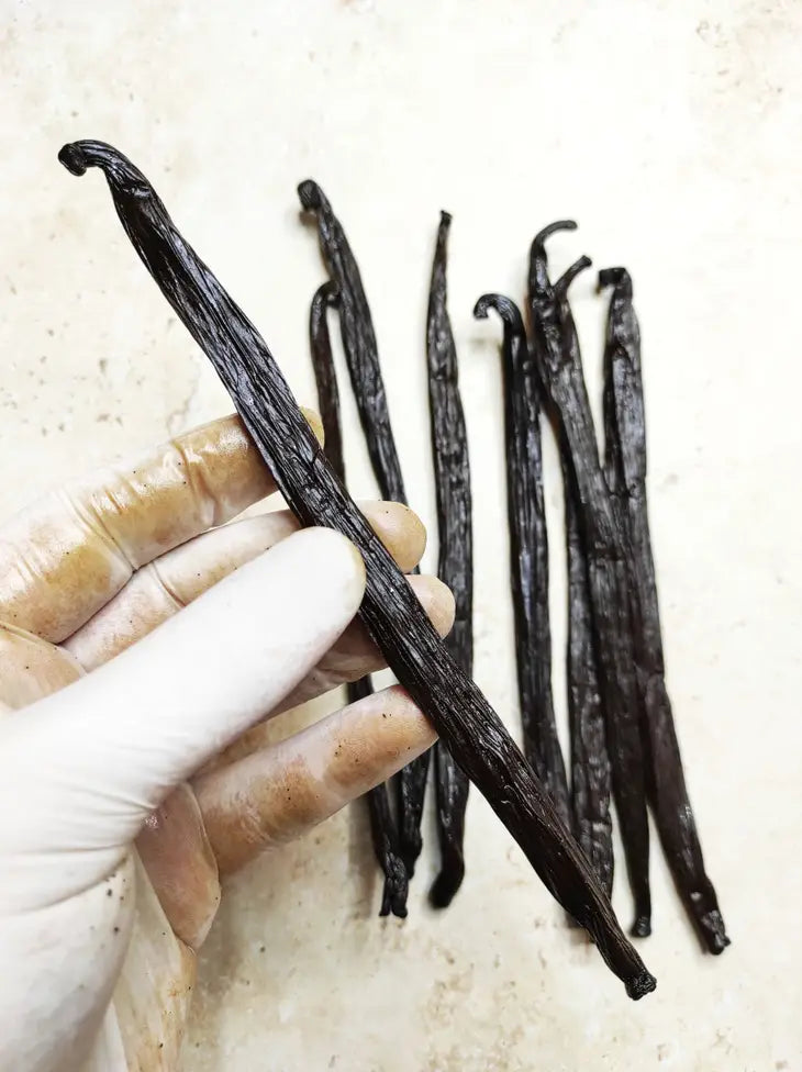 Grand Cru Tahitian Vanilla Pods - Raiatea 13-15cm 2 pods