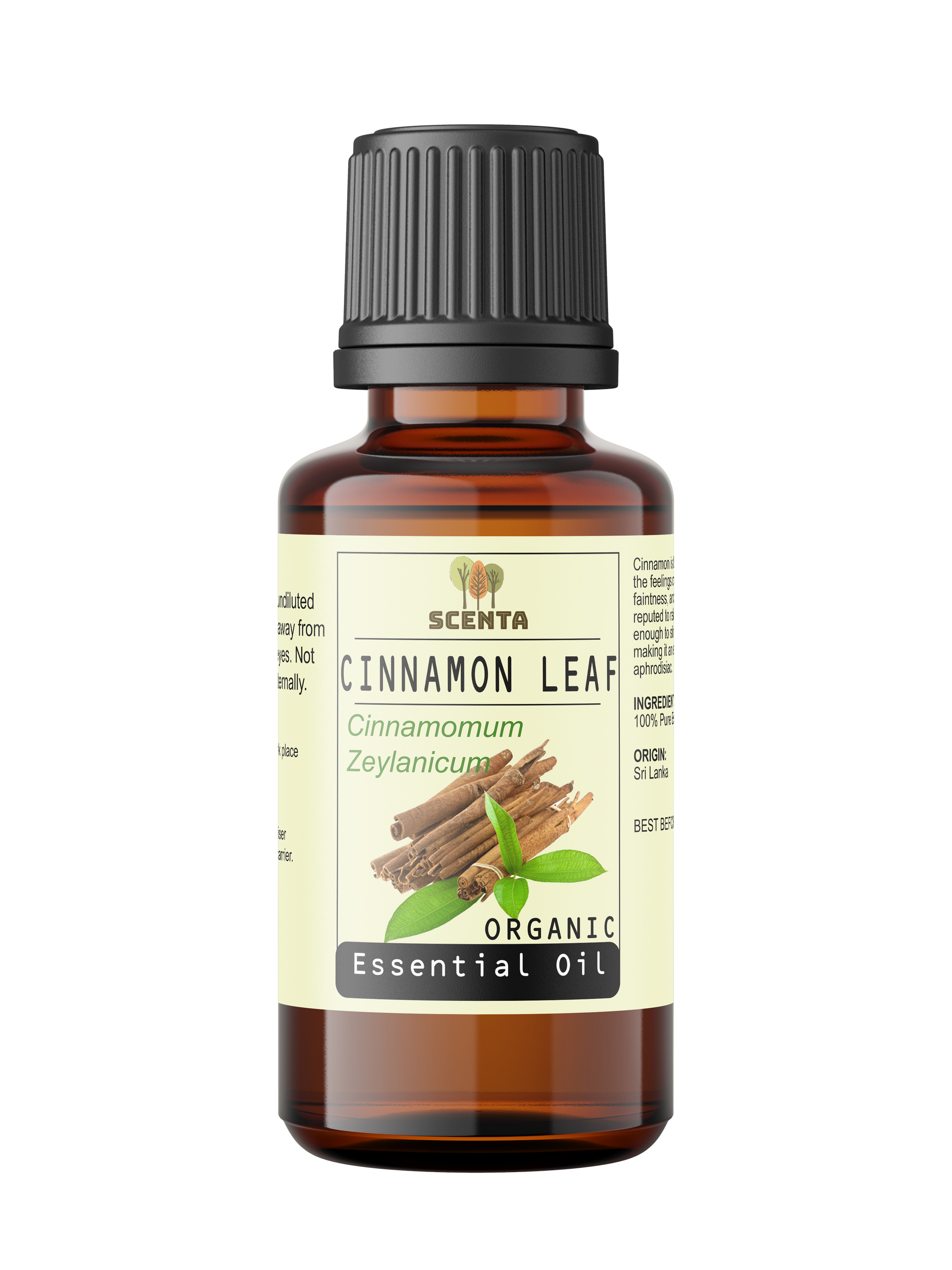 Cinnamon Leaf Organic Essential Oil - SCENTA