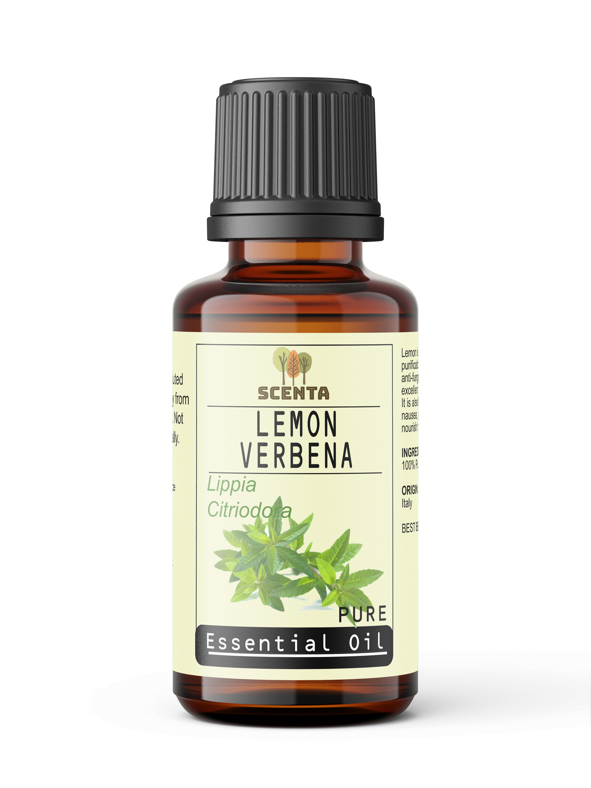 Lemon Verbena Essential Oil - SCENTA