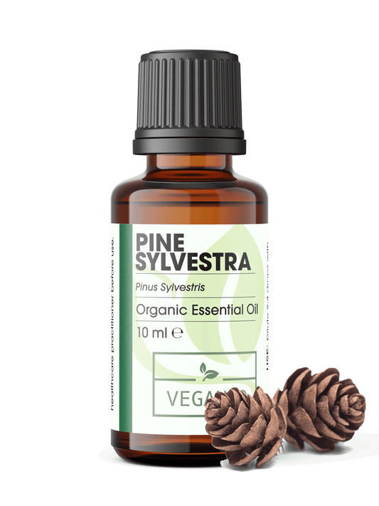 Pine Sylvestra Organic Essential Oil 10ml.