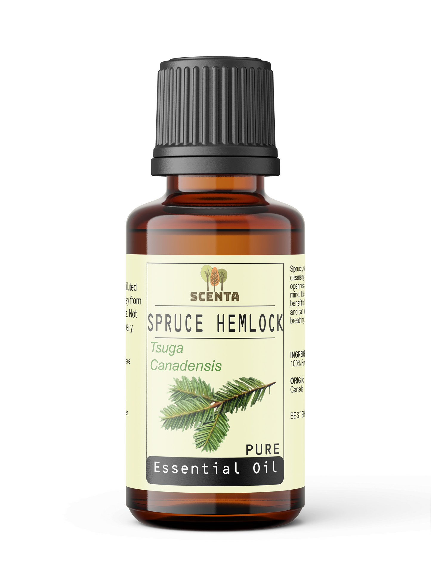 spruce hemlock essential oil