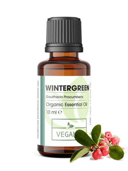 Gaultheria Procumbens Leaf Oil is the volatile oil obtained from the leaves of the Wintergreen, Gaultheria procumbens L., Ericaceae 
Wintergreen oil is a member of tEssential Oil